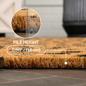 Daphne Modern Classic Animal-spot Bordered Coir Area Rug